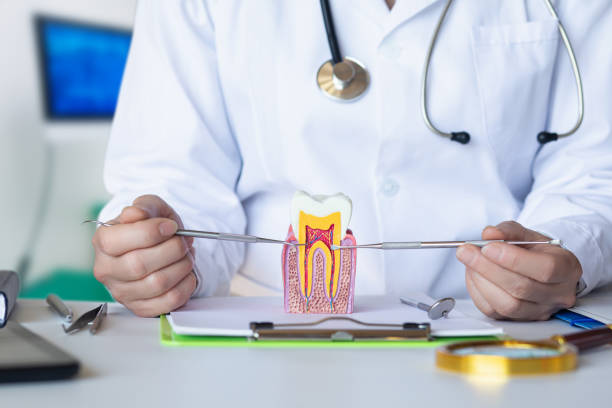 Best Mobile Emergency Dentist in Mentone, CA